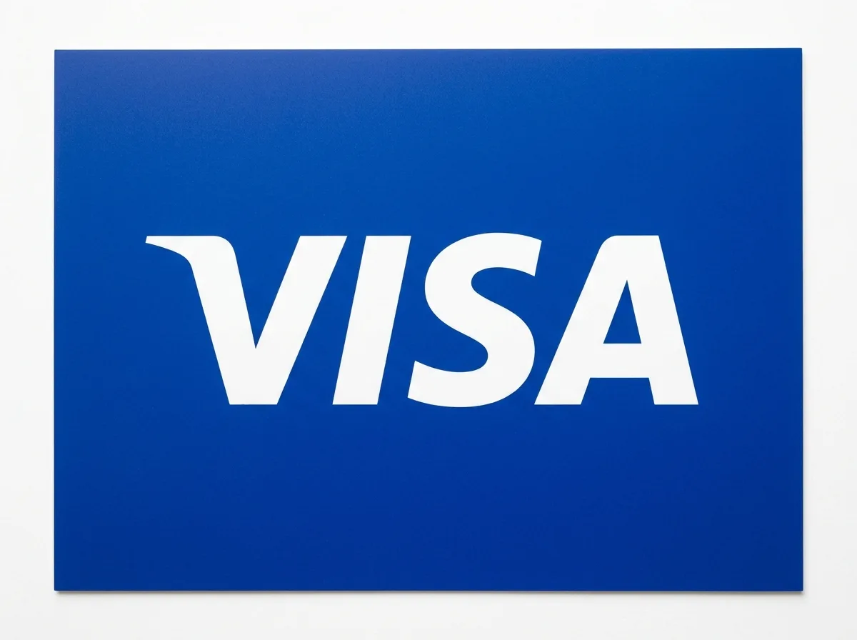 Логотип платёжной системы Visa — белый текст на синем фоне
